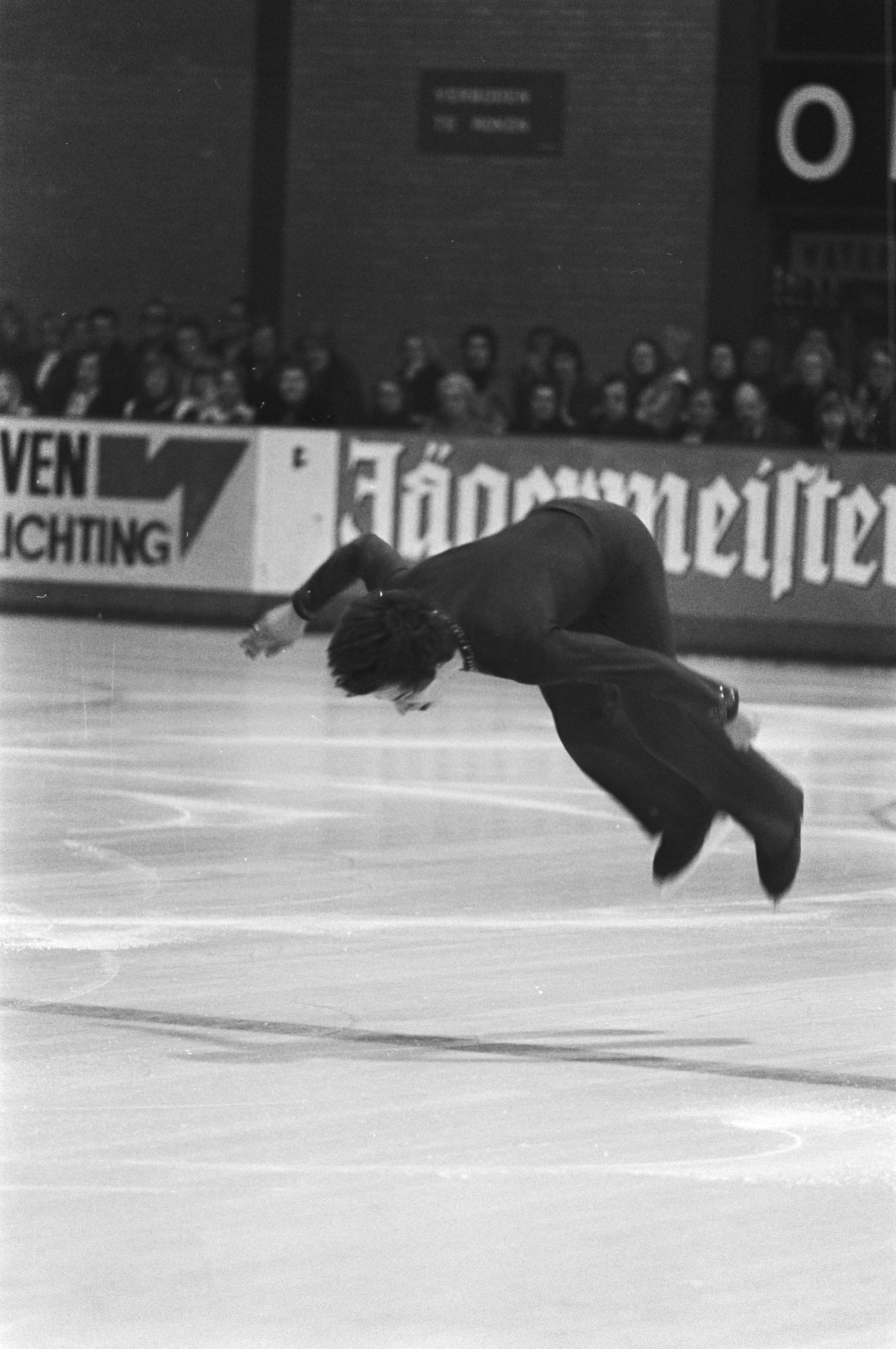 Terry Kubicka